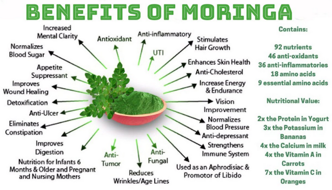 Benefits of Moringa