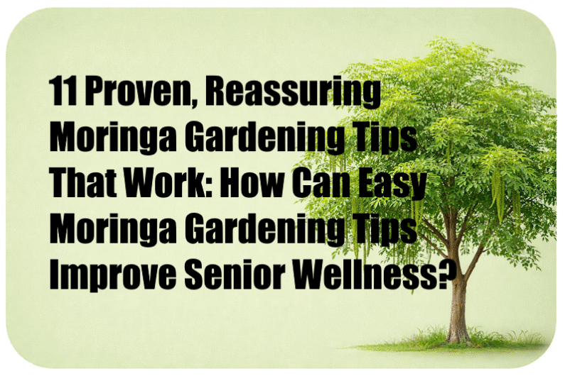 11 Proven, Reassuring Moringa Gardening Tips That Work: How Can Easy Moringa Gardening Tips Improve Senior Wellness?