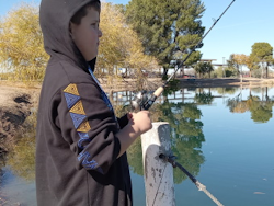 zebco-micro33-in-action