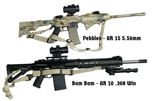 ar15-ar10 AR 15 and AR 10